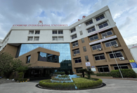 Symbiosis Institute Hinjewadi Pune